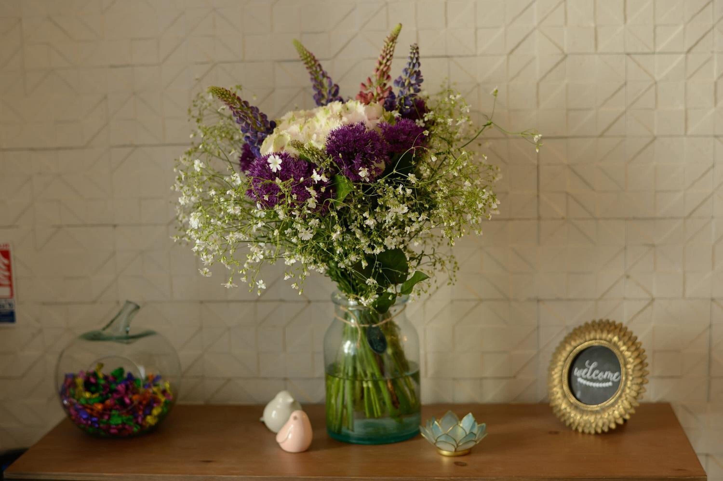 Terre Neuve 3* Paris